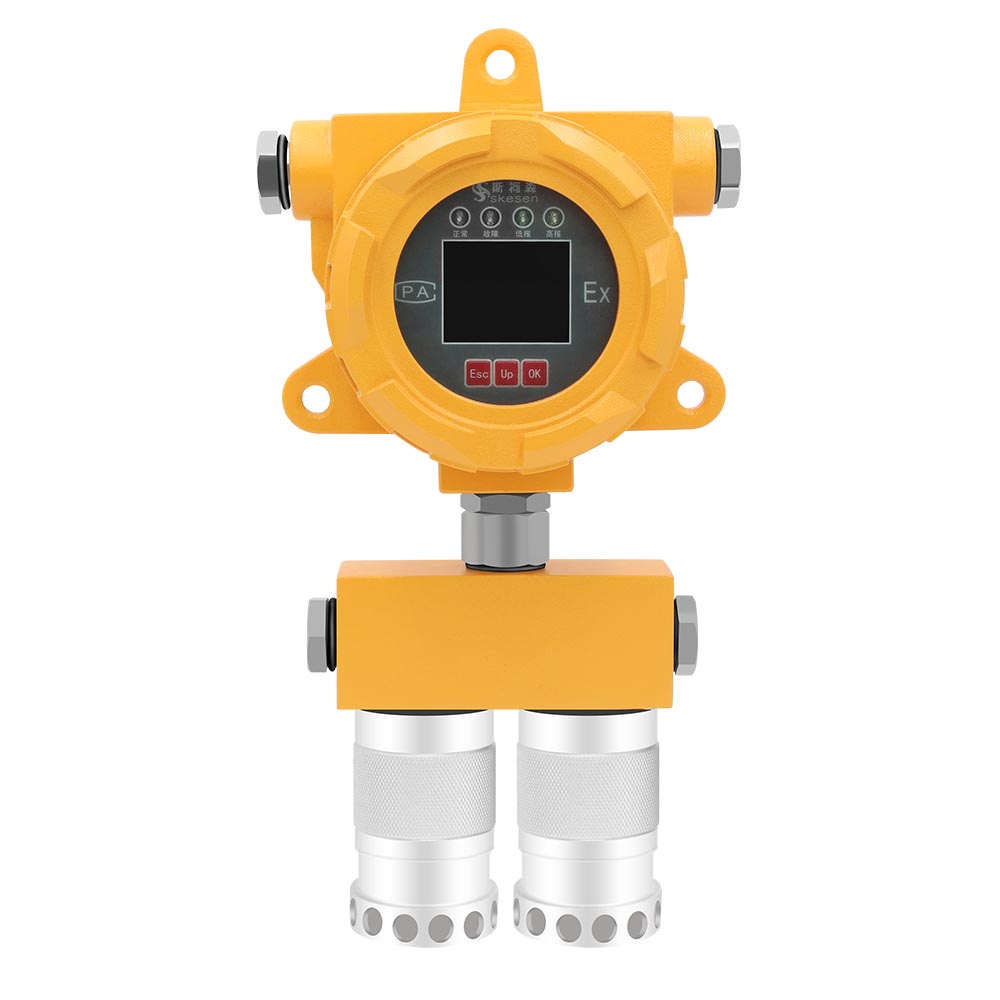 固定二合一氣體檢測儀